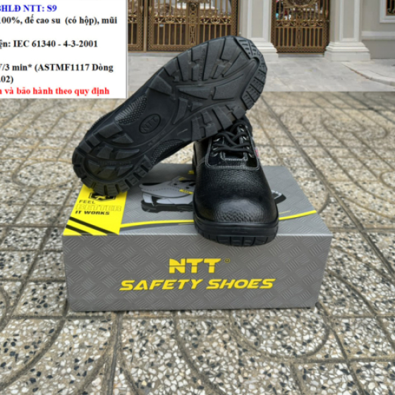 GIÀY HỘP NTT S9-550